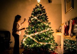 Christmas giving - Eat well on Universal Cedit